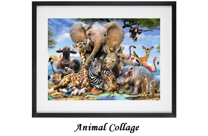Animal Collager